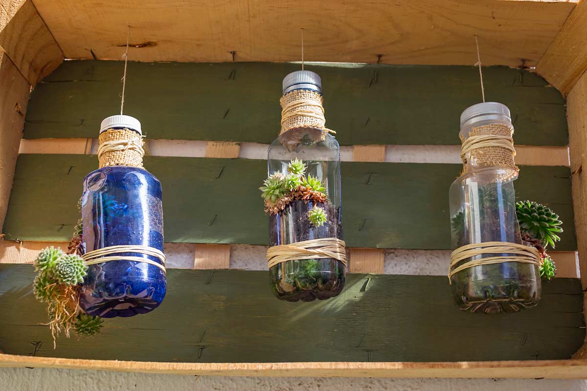 Giardini verticali con bottiglie di plastica