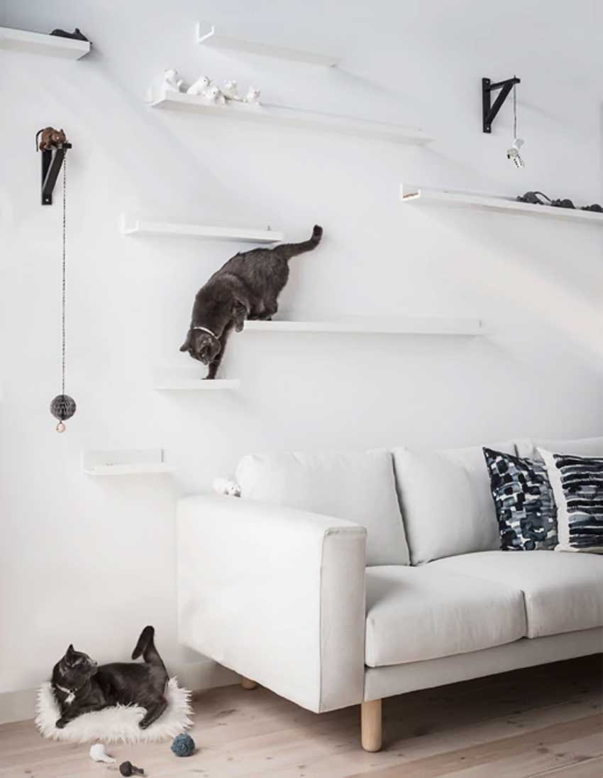Mensole Mosslanda di ikea usate per realizzare una parete palestra per gatti