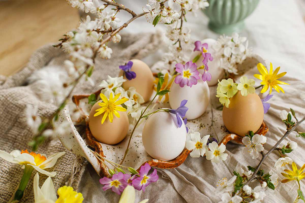 uova con fiori