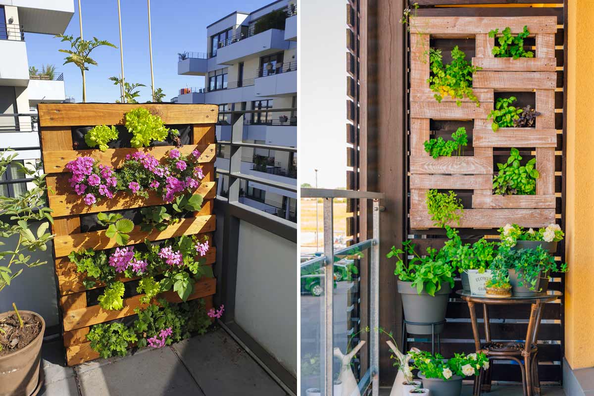 Idee innovative per giardini verticali in casa: consigli pratici e
