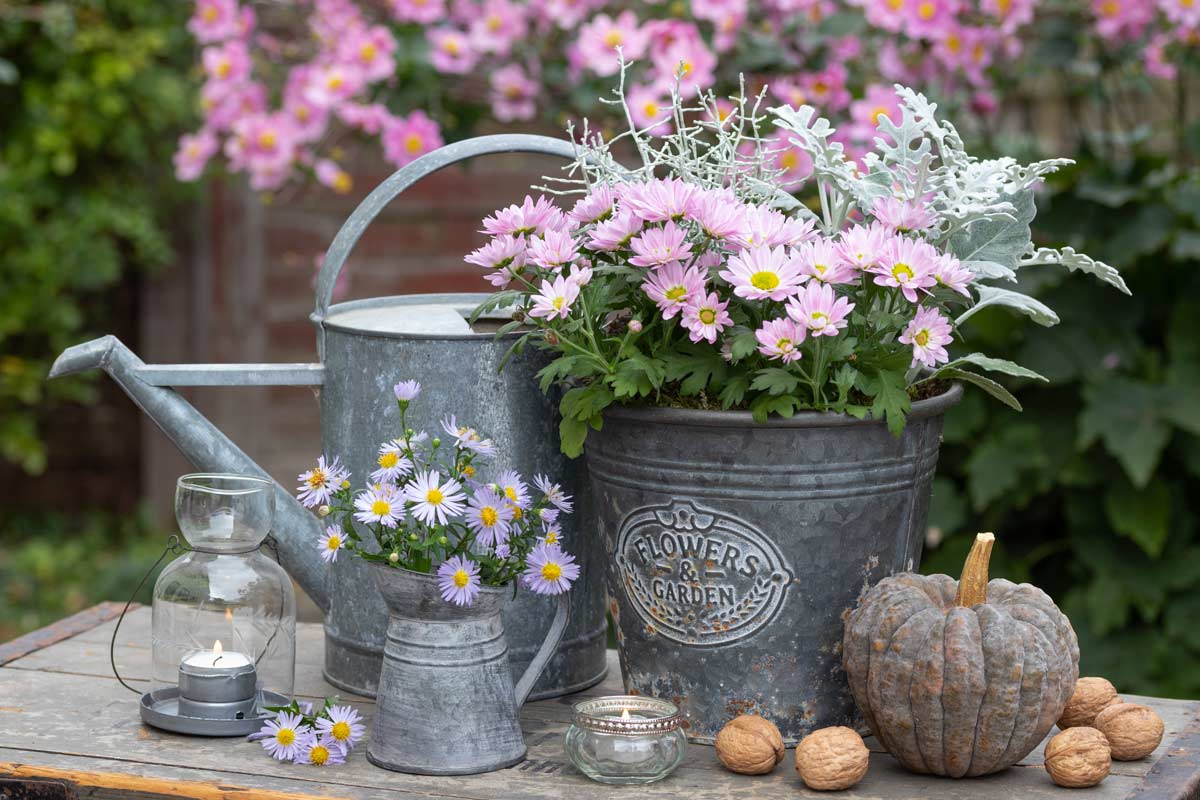 Vaso di fiori vintage in giardino
