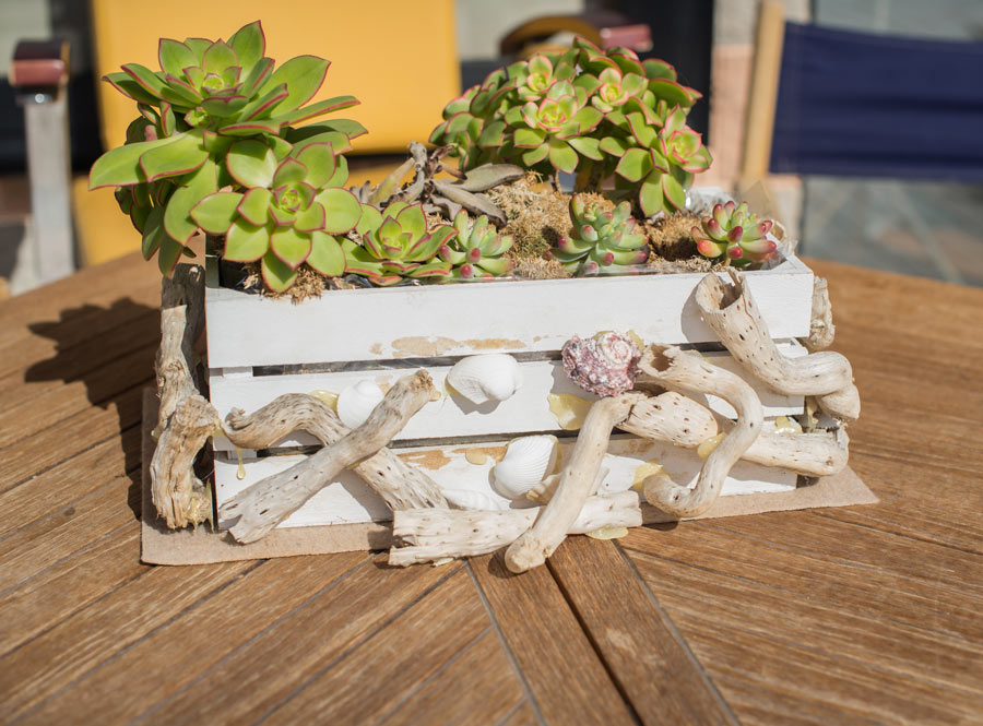 Cassetta di legno decorata con piante grasse, ideale in primavera.