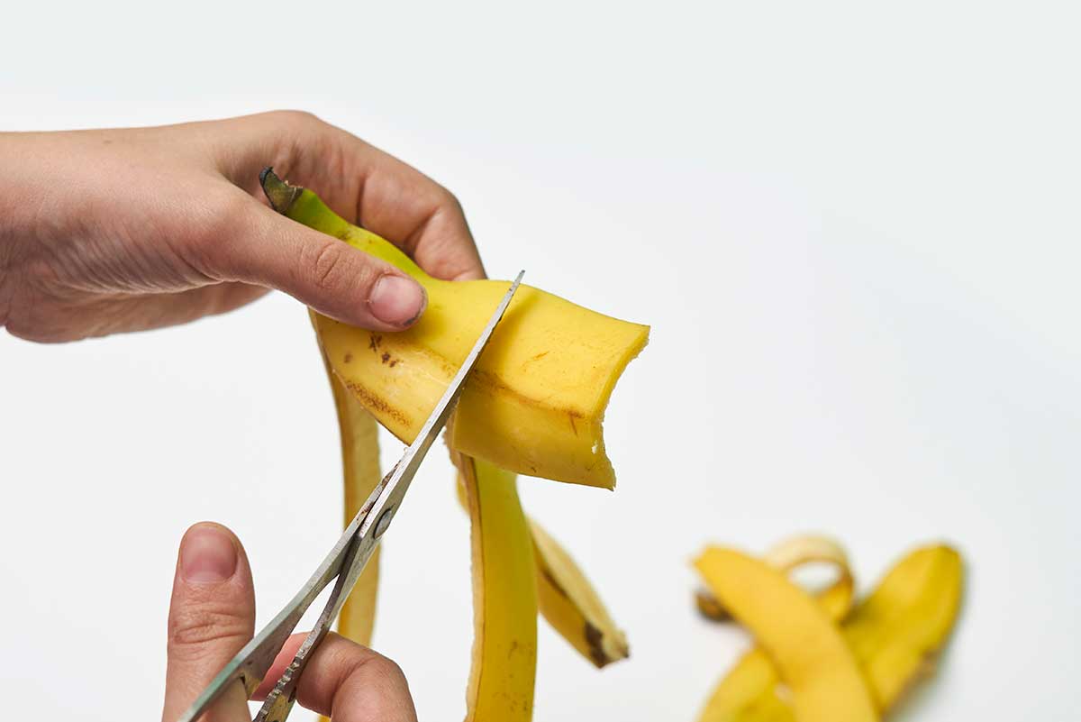 concimare con le bucce di banana