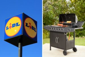 Offerta Lidl Barbecue a Gas