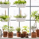Creare un giardino in casa con prodotti Ikea