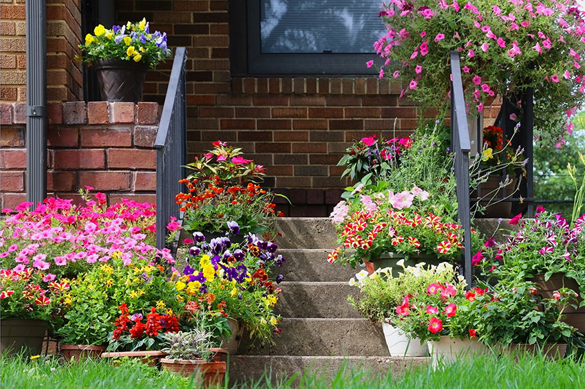 Ingresso di casa decorato con vasi di fiori.