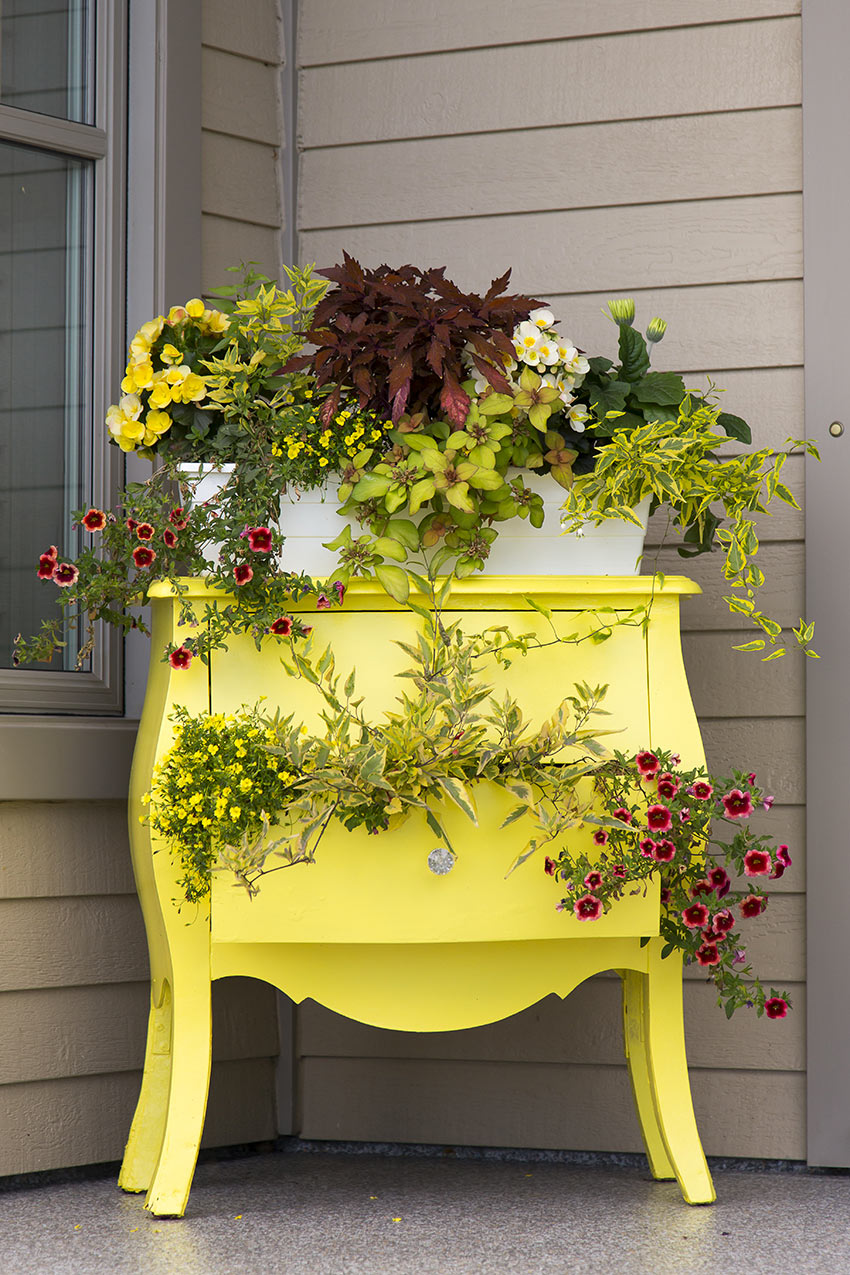 Portico di casa decorato con una vecchia cassettiera dipinta di giallo riempita di fiori.