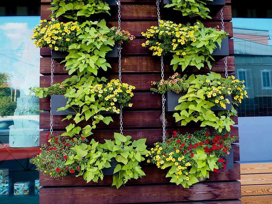 Giardino verticale in legno per esterno.