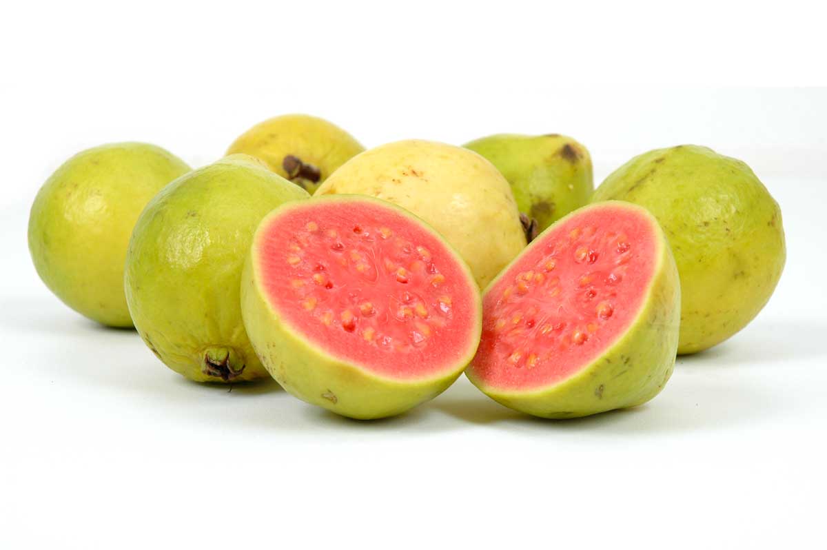 Riprodurre ortensie con la guava