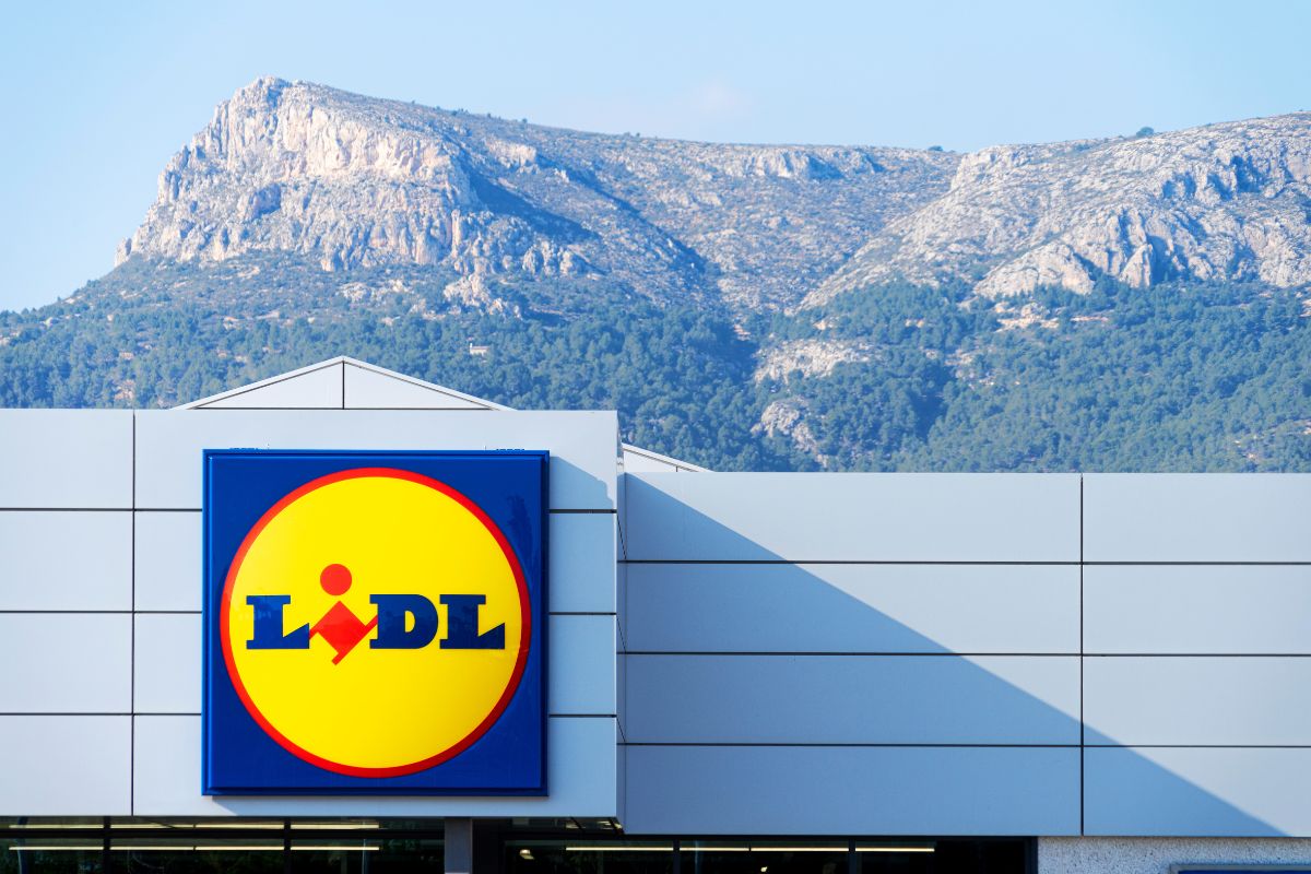 Lidl piante weekend