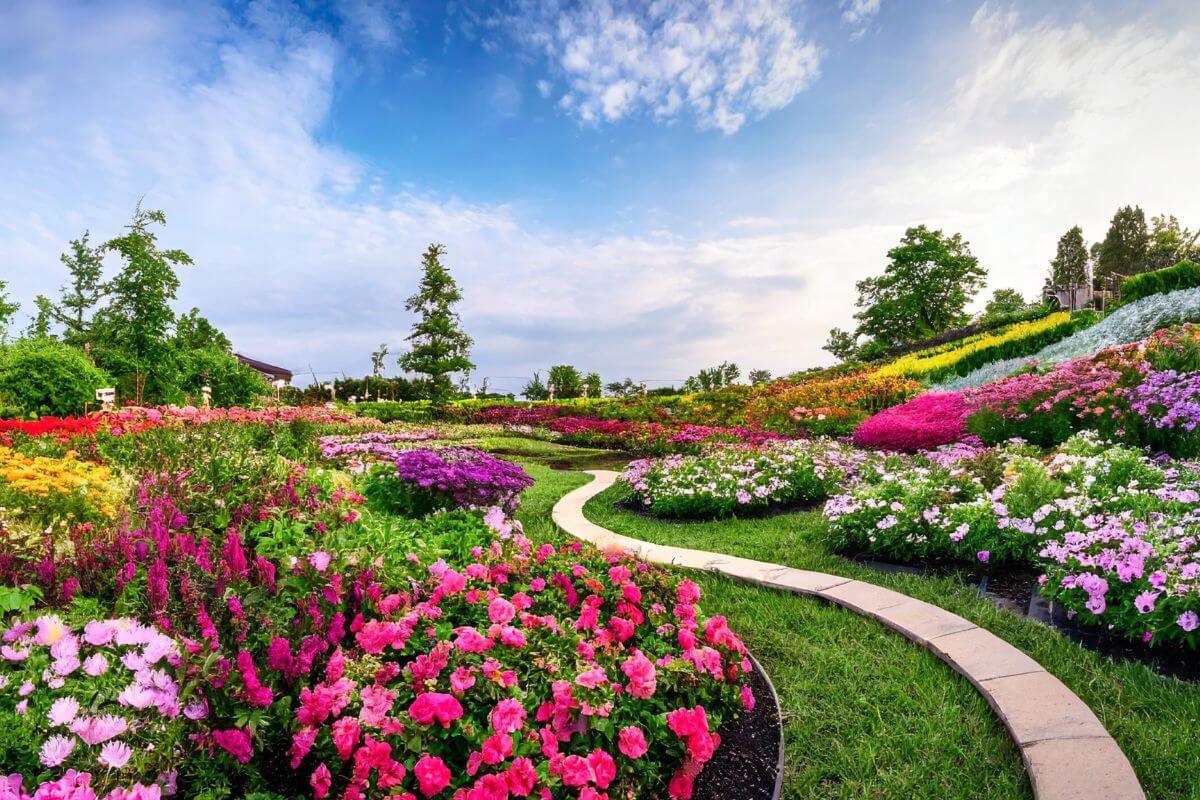 I migliori fiori da piantare in giardino in agosto