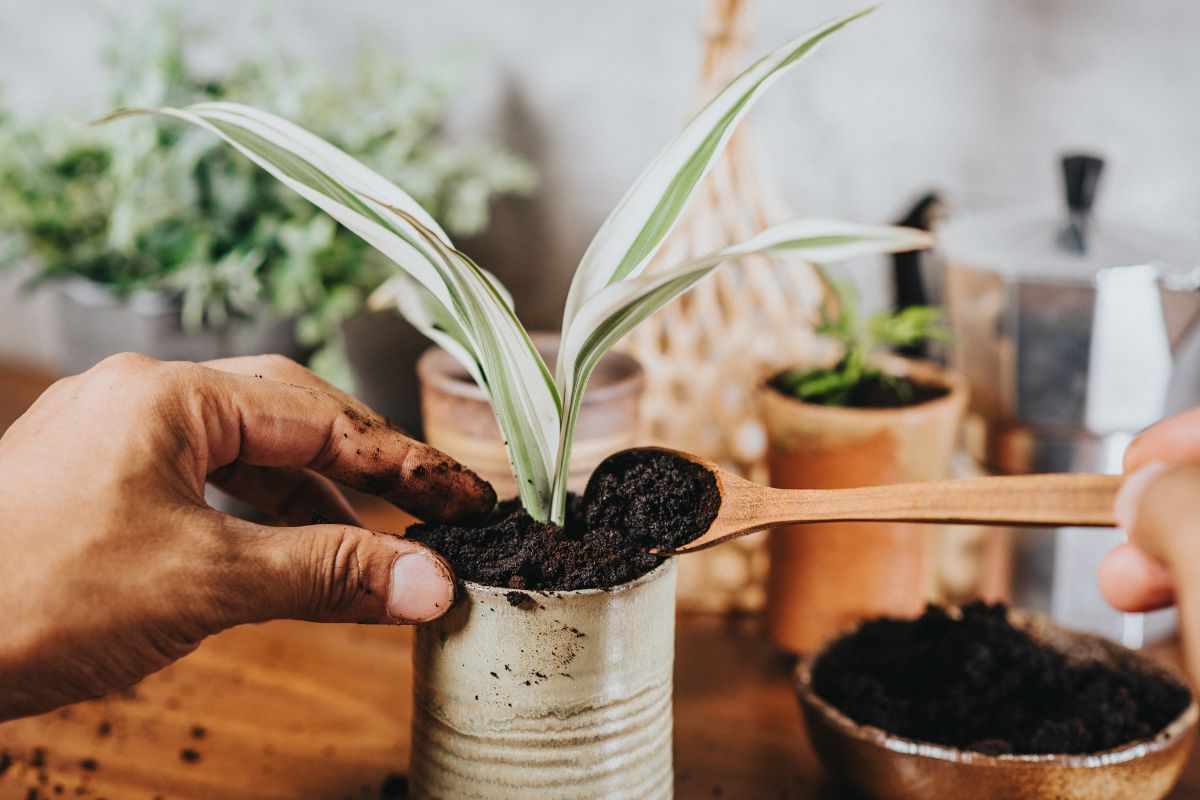 Fertilizzanti naturali efficaci