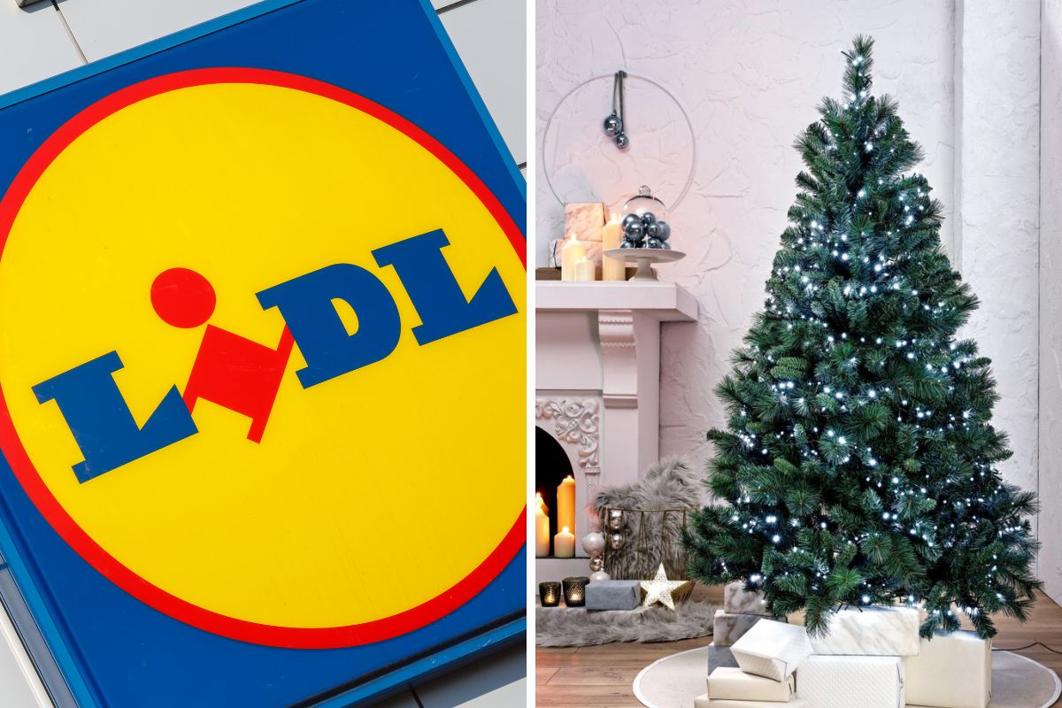 Lidl decorazioni natalizie 2024